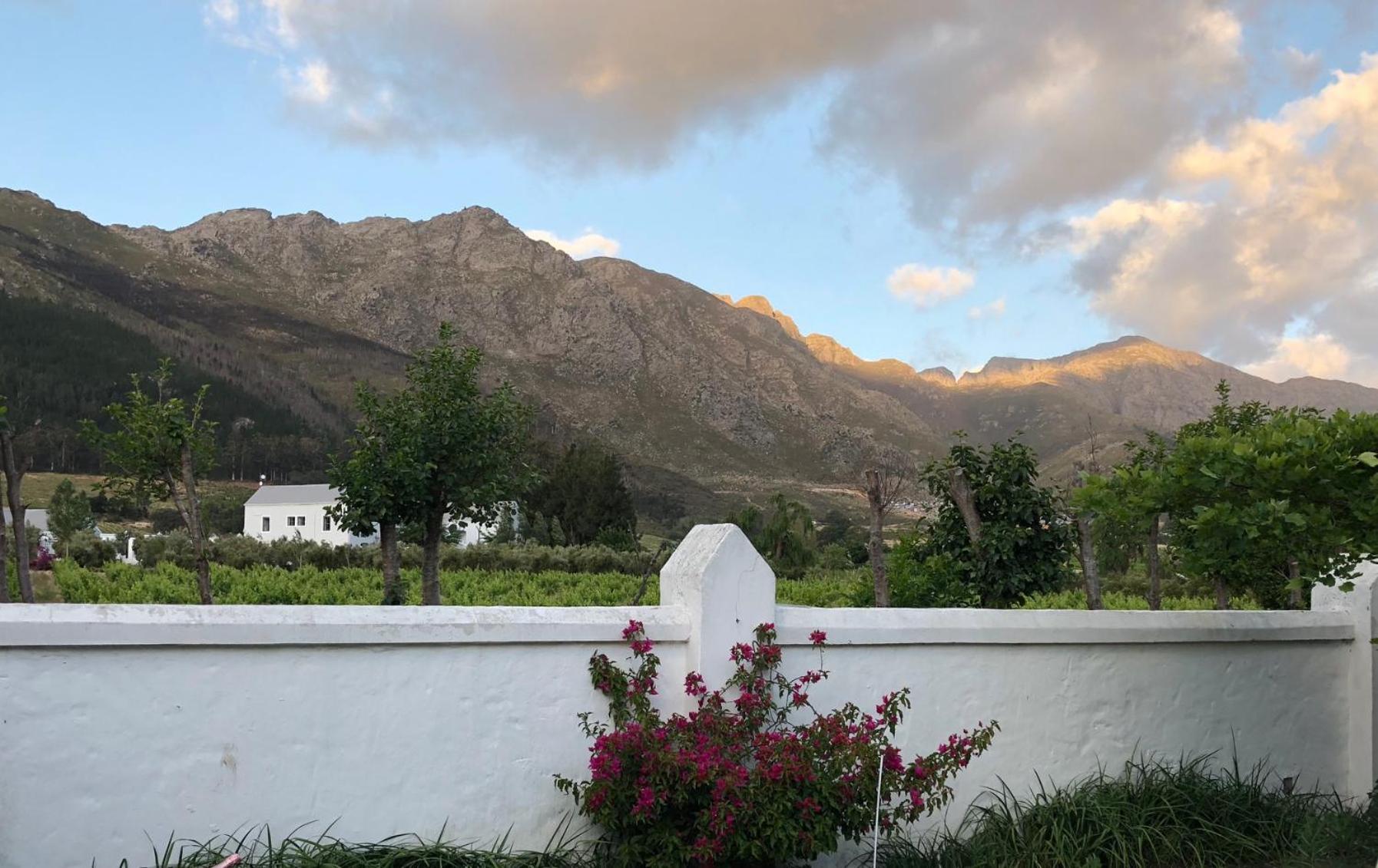 Gooding'S Olive Villa Franschhoek Exterior photo